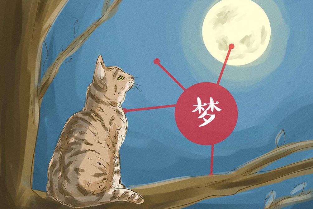 做梦梦到猫,梦见猫 做梦梦到猫,梦见猫